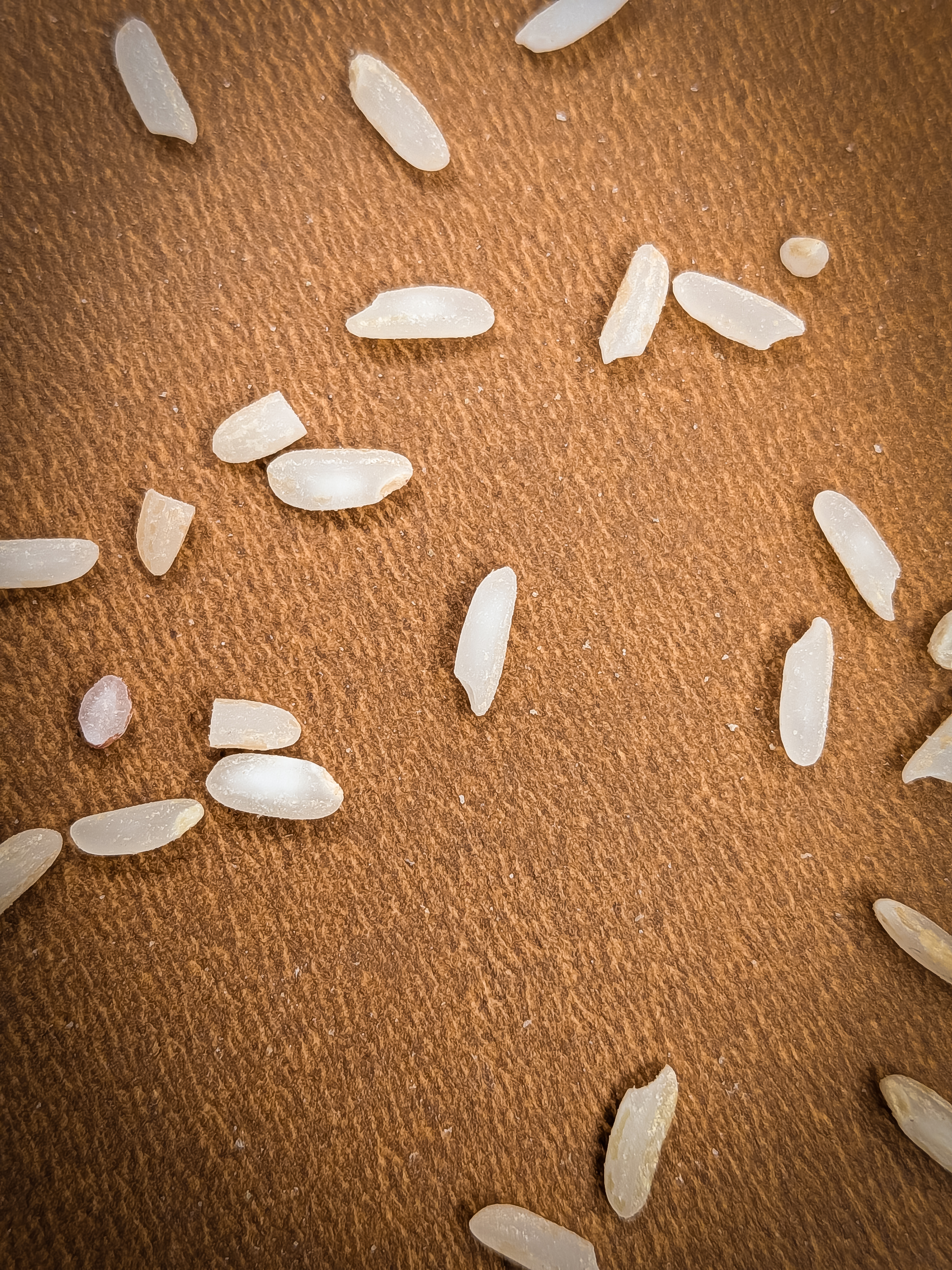 Narayana Kamini - Image 3